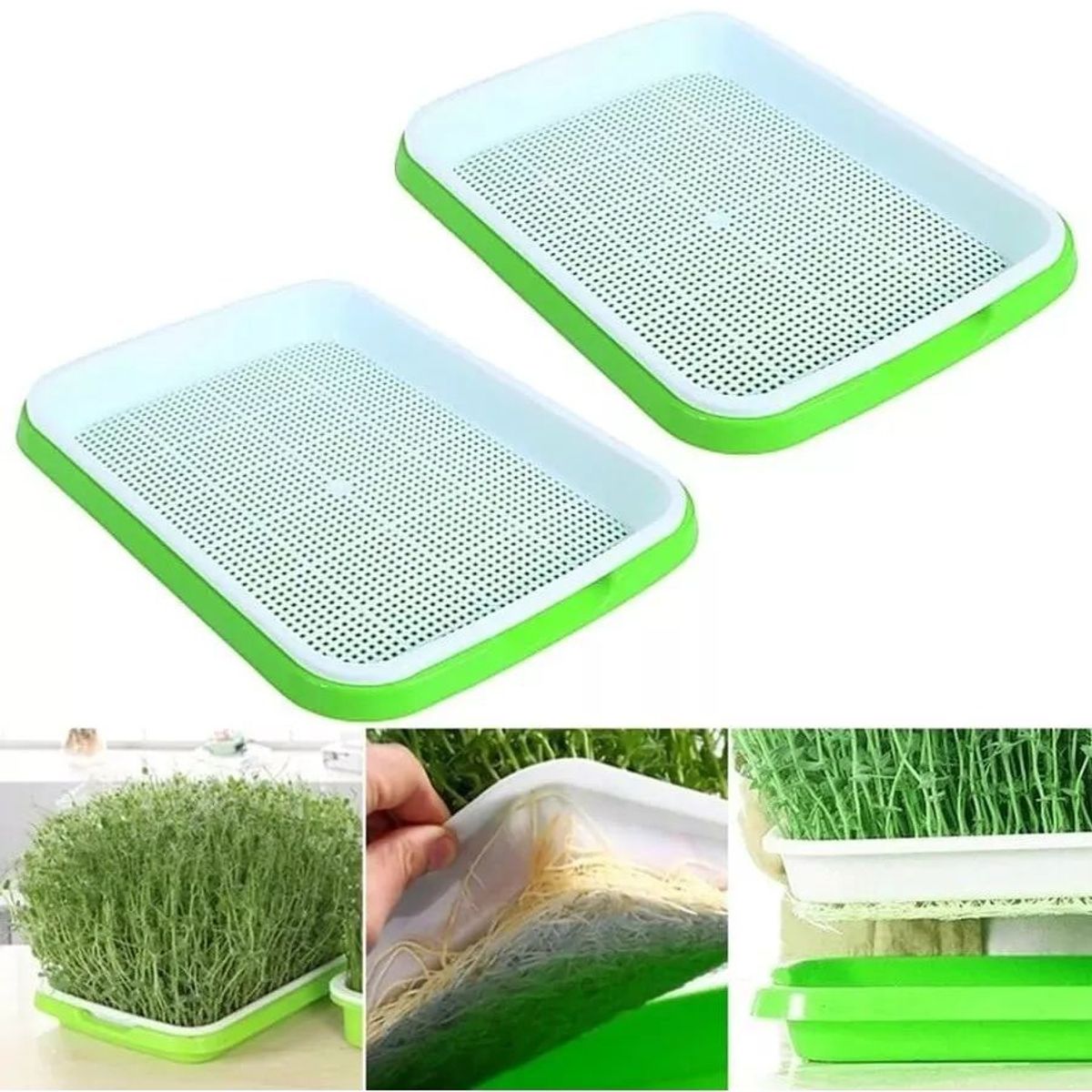 KUANGYE - 2 Bandeja Microgreens Germinador Almaciguera De Semilla