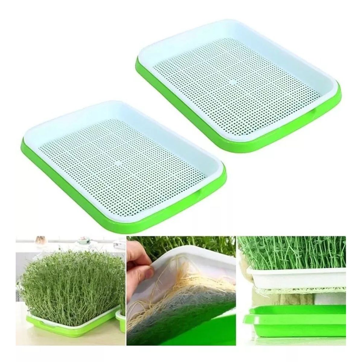 KUANGYE - 2 Bandeja Microgreens Germinador Almaciguera De Semilla