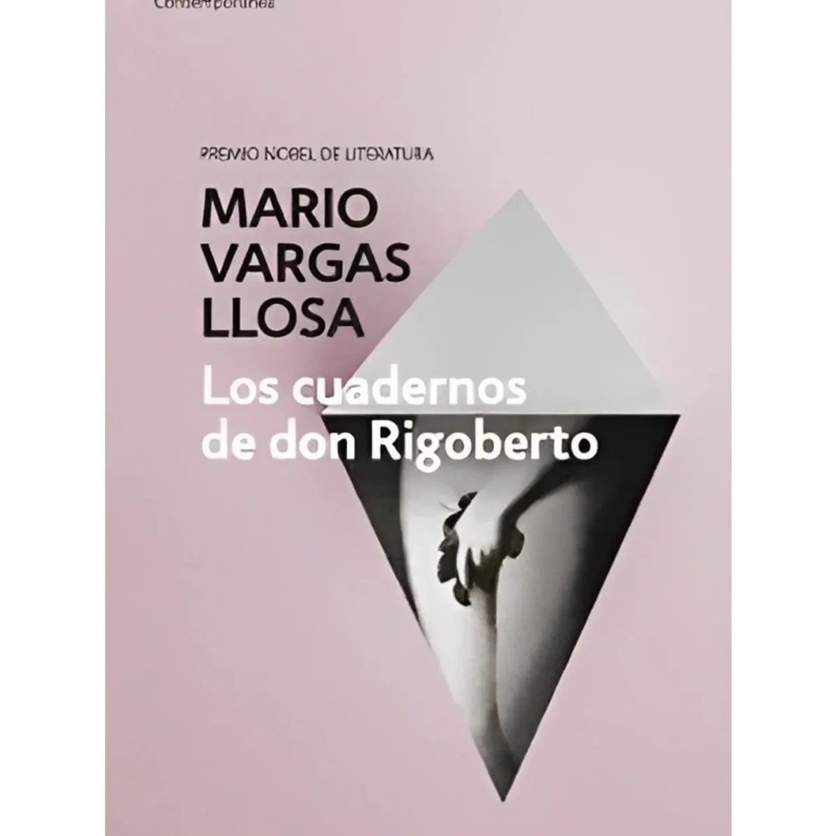 TOP10BOOKS - LIBRO Los Cuadernos De Don Rigoberto - Los Cuadernos De Don Rigoberto