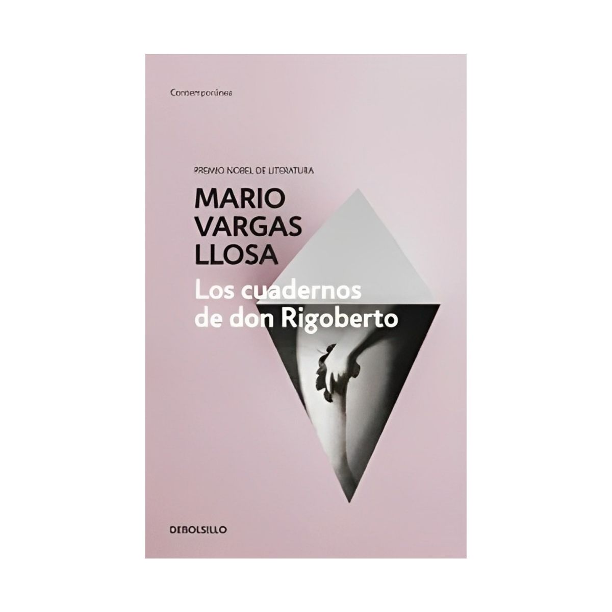 TOP10BOOKS - LIBRO Los Cuadernos De Don Rigoberto - Los Cuadernos De Don Rigoberto