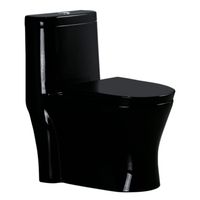 WC One Piece Negro con Sello Antifuga 30cm 2002