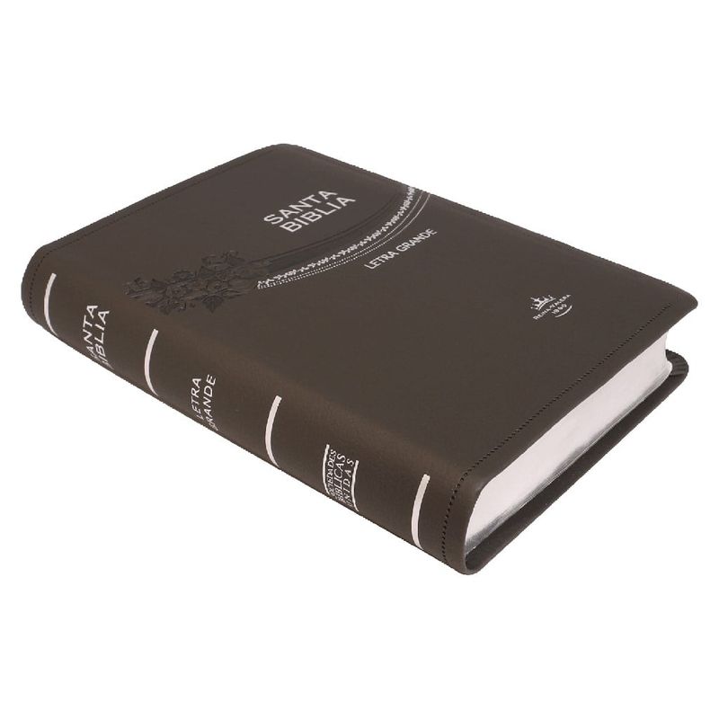 SOCIEDADES BIBLICAS UNIDAS - Biblia Reina Valera 1960 Letra Grande Concordancia Simil piel Gris