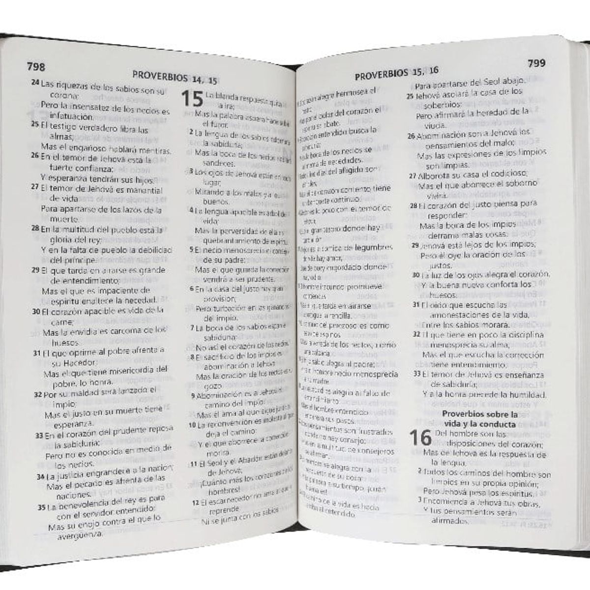 SOCIEDADES BIBLICAS UNIDAS - Biblia Reina Valera 1960 Letra Grande Concordancia Simil piel Gris