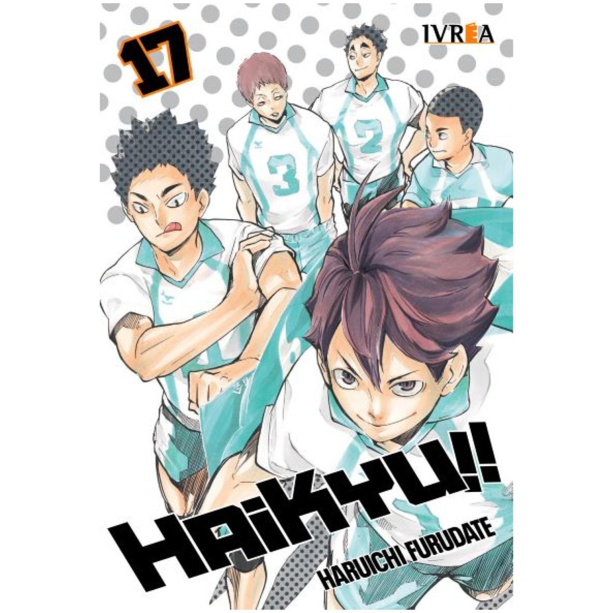 IVREA ARGENTINA - MANGA HAIKYU 17 (IVREA ARGENTINA)