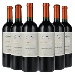 APALTAGUA - 6 Vinos Gran Reserva Envero Cabernet Sauvignon - Rojo