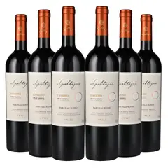 APALTAGUA - 6 Vinos Gran Reserva Envero Parcelas Ensamblaje - Rojo