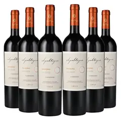 APALTAGUA - 6 Vinos Gran Reserva Envero Carmenere - Rojo