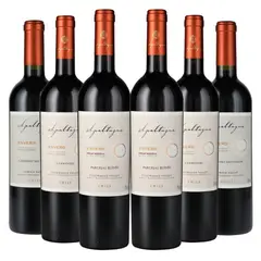 APALTAGUA - 6 Vinos Mix Gran Reserva Envero