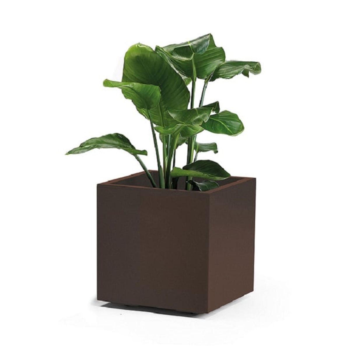 EURO3PLAST - Macetero de plástico reciclado con reserva de agua 40x40 cm Oxido