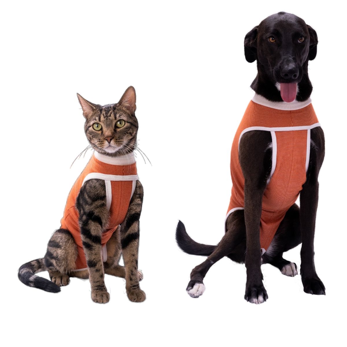 KIMBA - Body Cobre post operatorio Talla 6