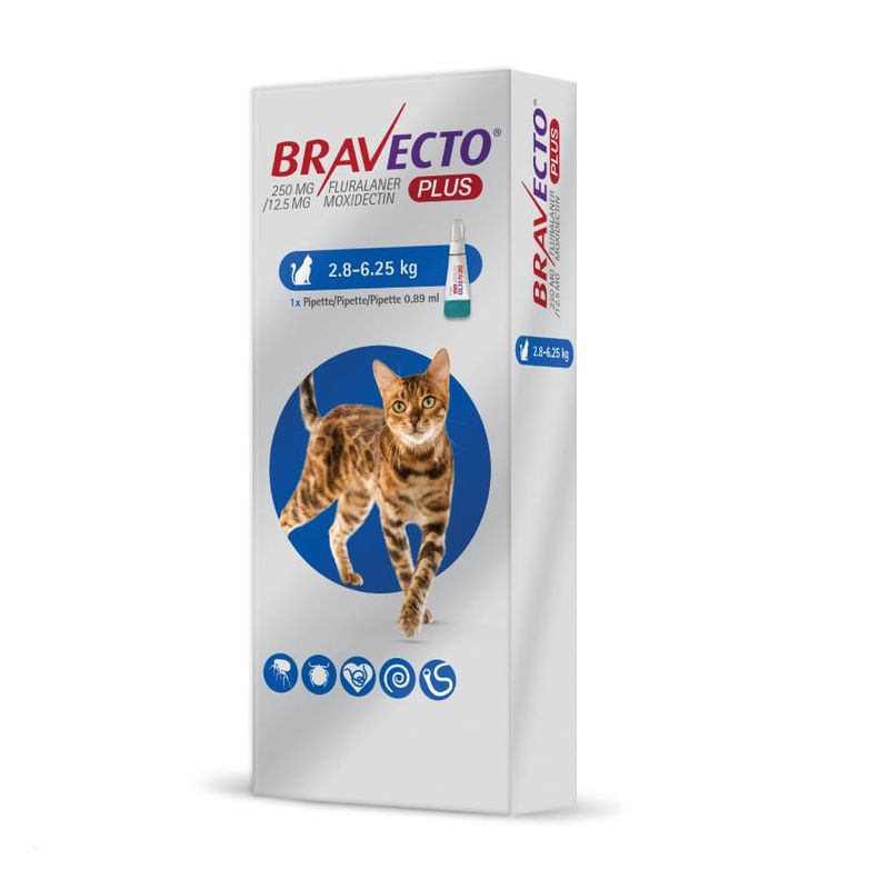 BRAVECTO - BRAVECTO GATO ANTIPARASITARIO INT/EXT 2.8 A 6.25 KG PLUS