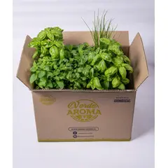 VERDE AROMA - 12 Plantas hierbas aromáticas orgánico albahaca menta mix1