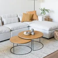 Mesa De Centro Nido Salem Amoblé