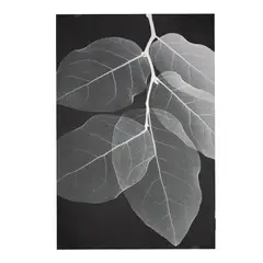 NEWTREE - Alfombra Grande Living Diseño Negro 150x200cm