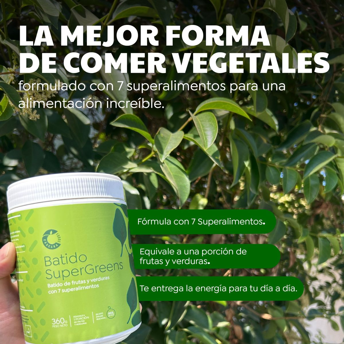 CASCARA FOODS - Batido SuperGreens 30 días