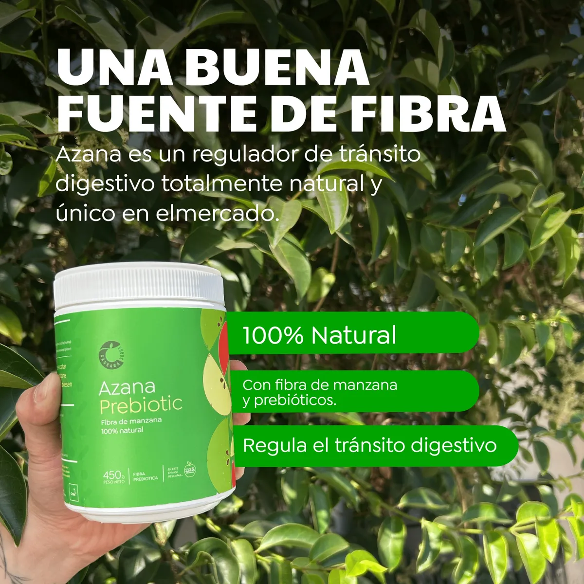 CASCARA FOODS - Azana Prebiotic 35 días