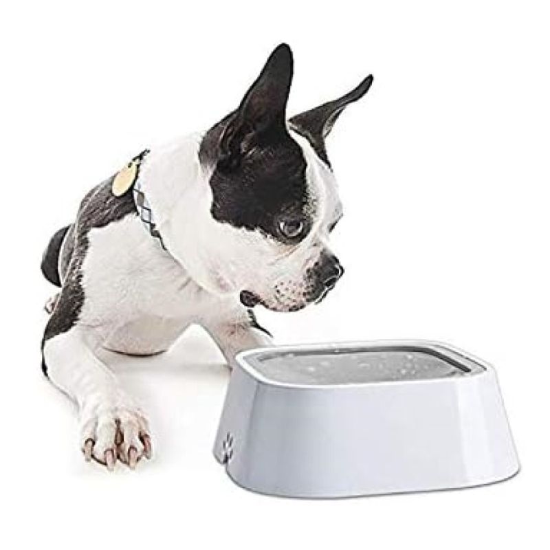 GENERICO - Bebedero De Agua Para Perros Gatos + Filtro Flotador 228210