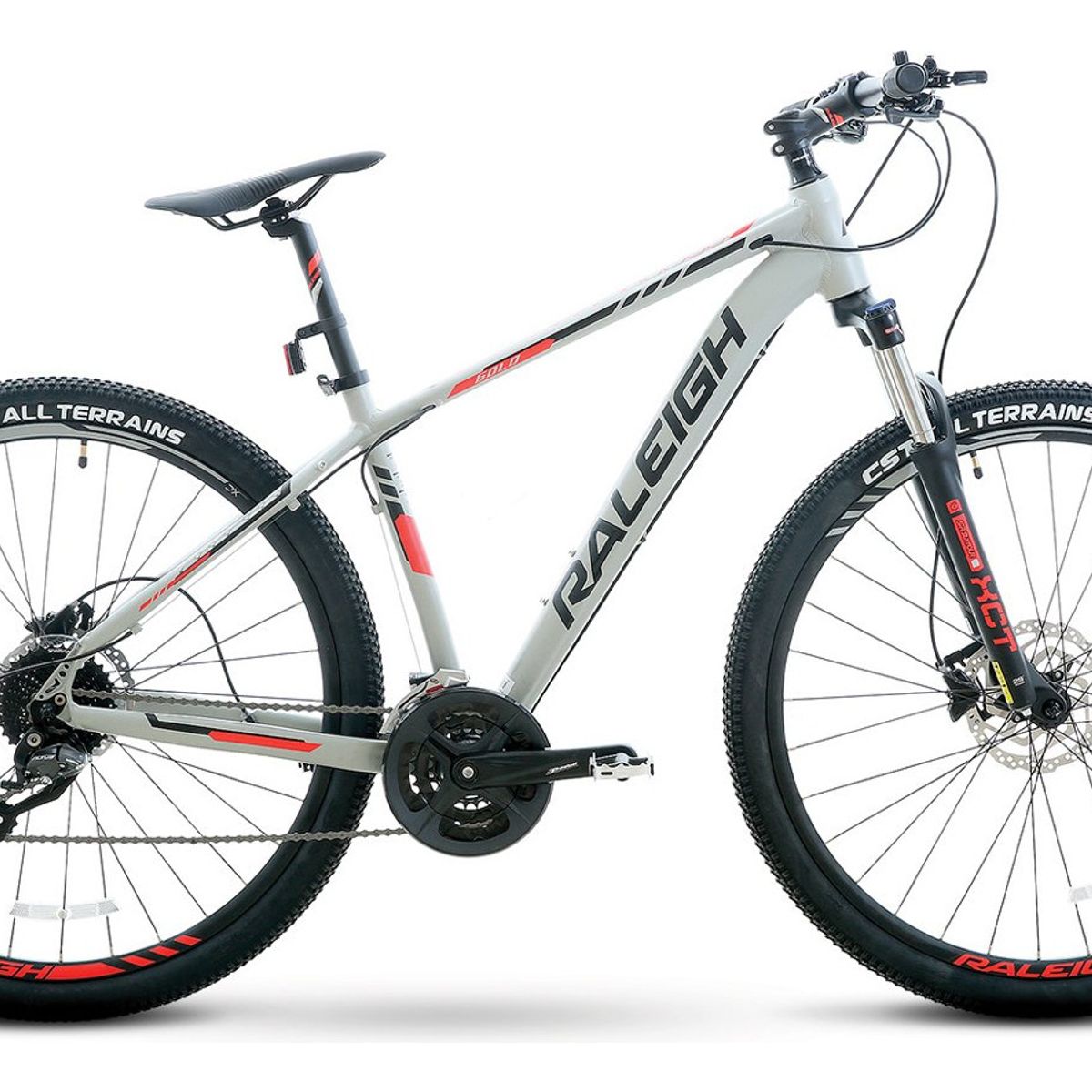 RALEIGH - Bicicleta Mtb Raleigh Gold 29