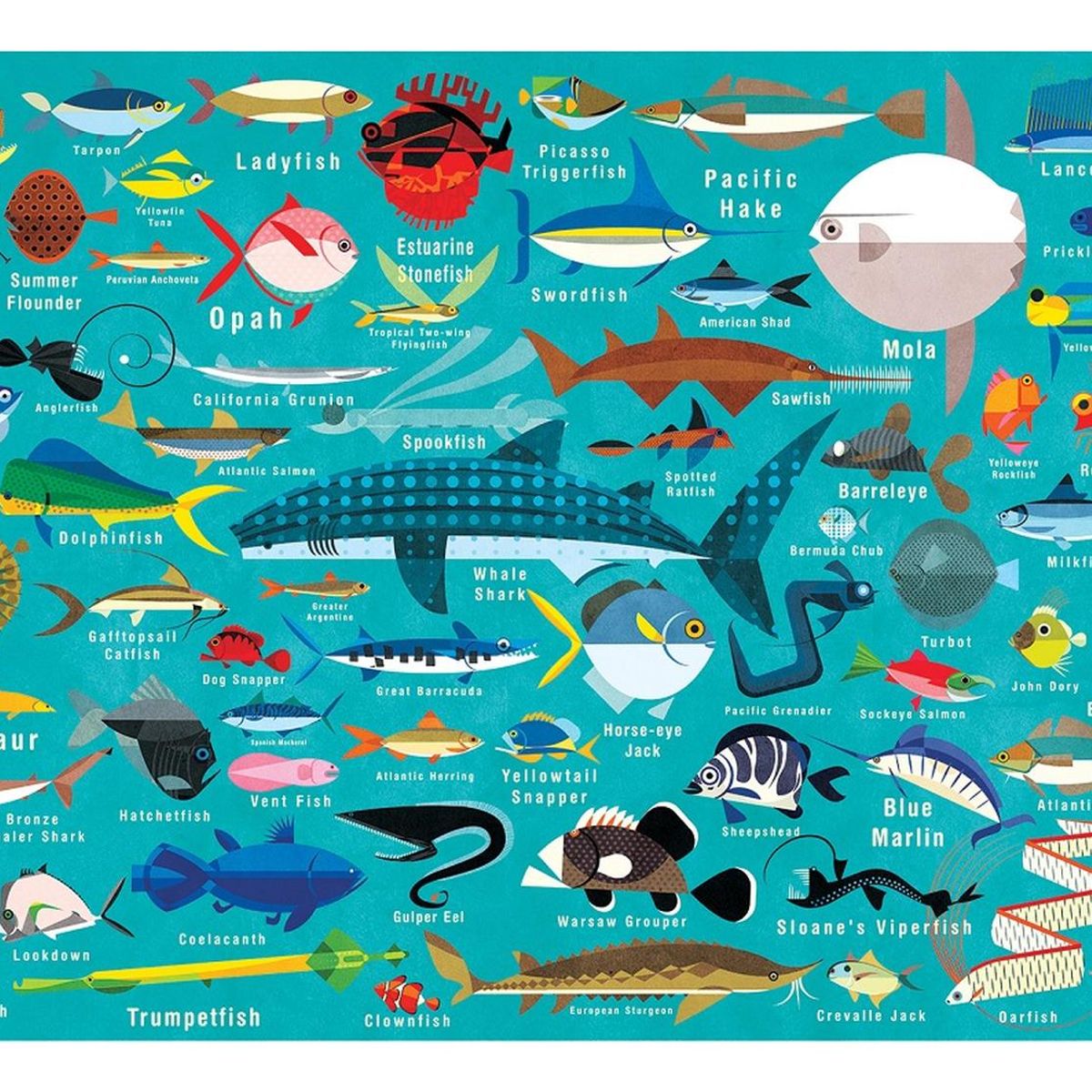 MUDPUPPY - Puzzle 1000Pcs Vida Del Oceano Mudpuppy