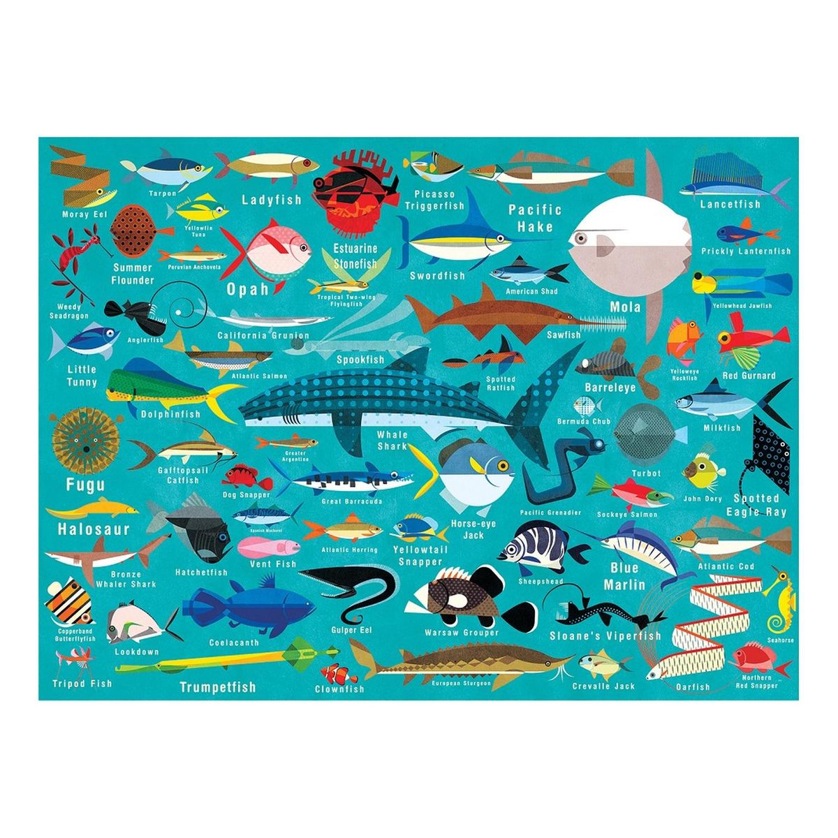 MUDPUPPY - Puzzle 1000Pcs Vida Del Oceano Mudpuppy