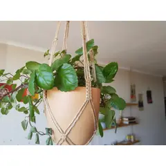 BEIGE - Colgante Para Plantas Lircay