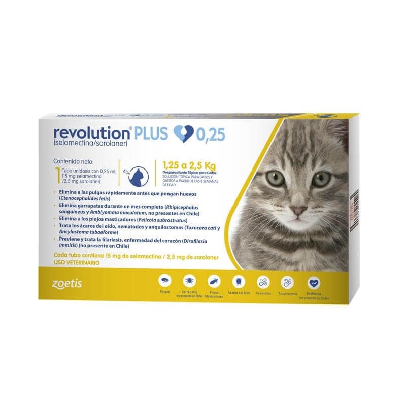 REVOLUTION - Revolution Plus Gatos de 1,25 a 2,5 kg