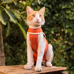 KIMBAPETS - Body de Cobre Para Gatos Talla 5 - 7,5 a 10kg