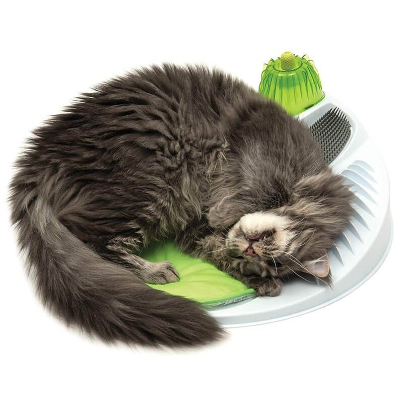 CATIT - Catit Centro de Masajes para Gatos