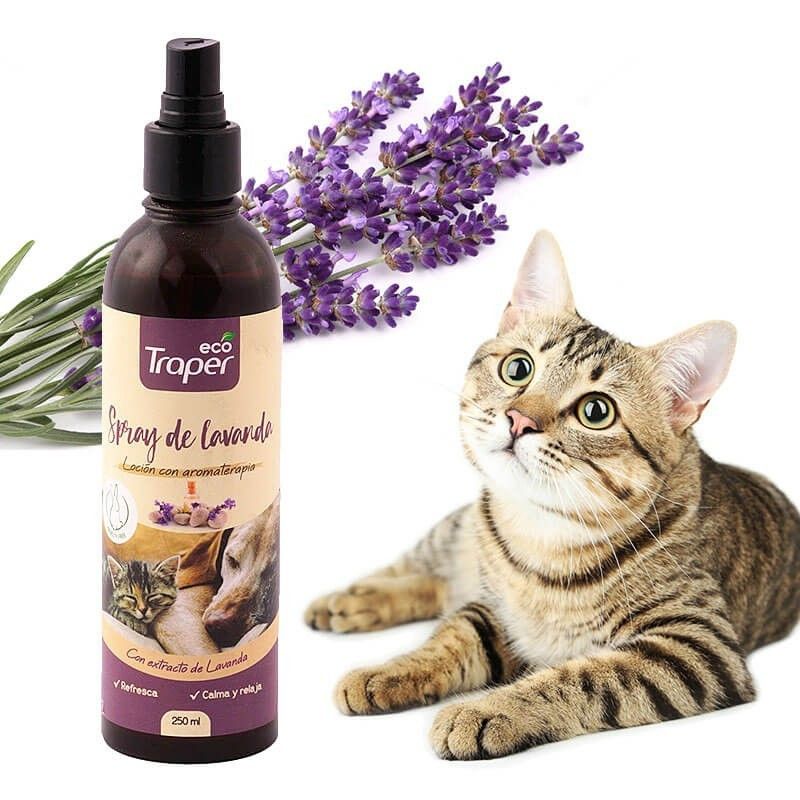 ANASAC - Traper Spray Lavanda para Mascotas