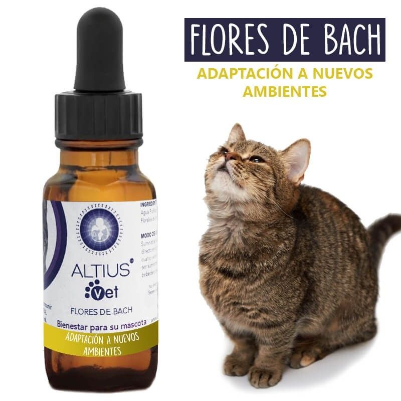 GENERICO - Flores de Bach para Gatos Adaptación a nuevos ambientes