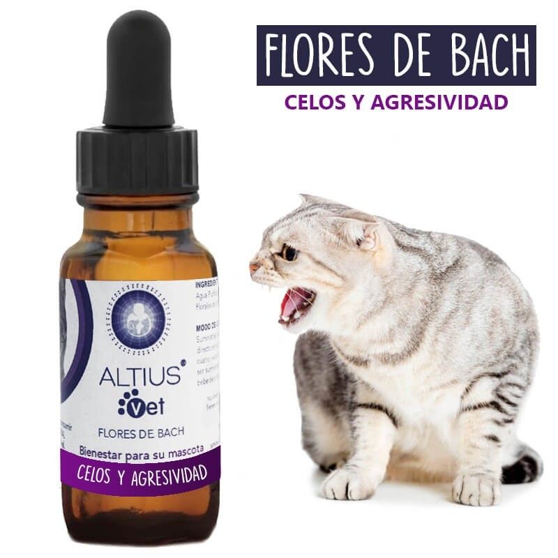 GENERICO - Flores de Bach para Gatos Celos y Agresividad