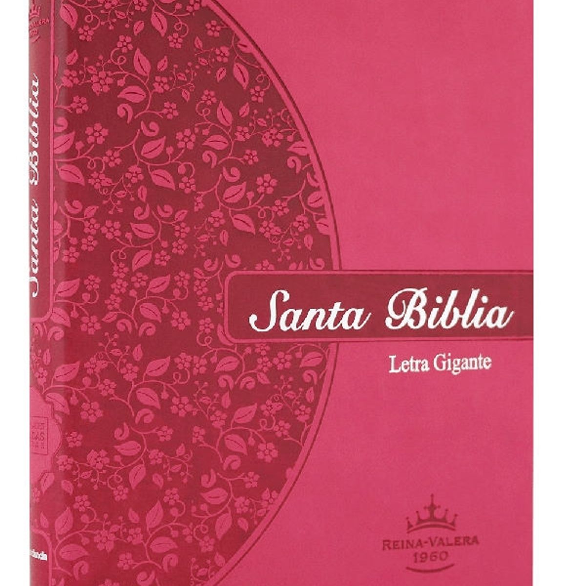 SOCIEDAD BIBLICA DE BRASIL - Biblia Letra Gigante Reina Valera 1960 Concordancia