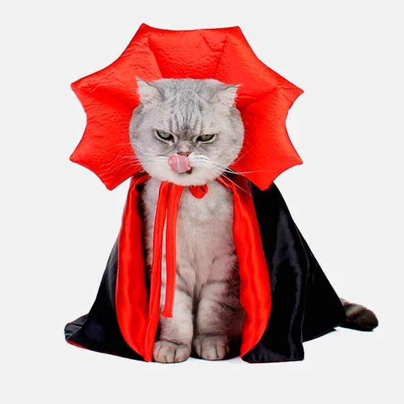 GENERICO - Disfraz de Drácula para Gatos
