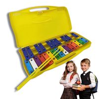 Metalofono 25 Notas Cromático Placas Colores Didactico