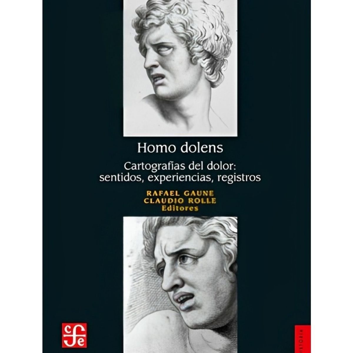 TOP10BOOKS - LIBRO H o m o Dolens. Cartografias Del Dolor, Sentidos, Experiencias