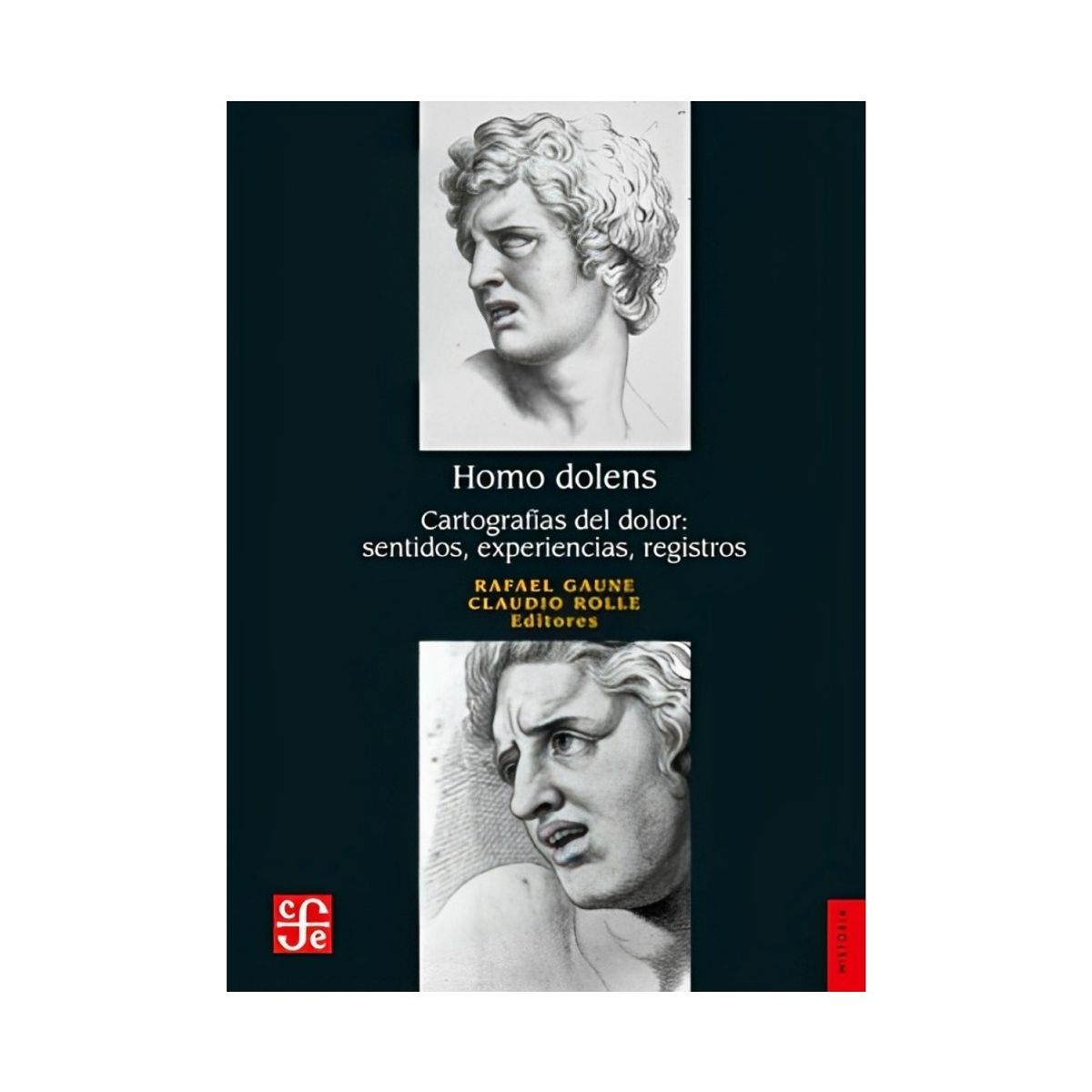 TOP10BOOKS - LIBRO H o m o Dolens. Cartografias Del Dolor, Sentidos, Experiencias