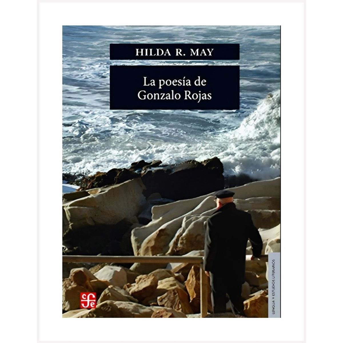 TOP10BOOKS - LIBRO La Poesia De Gonzalo Rojas - La Poesia De Gonzalo Rojas