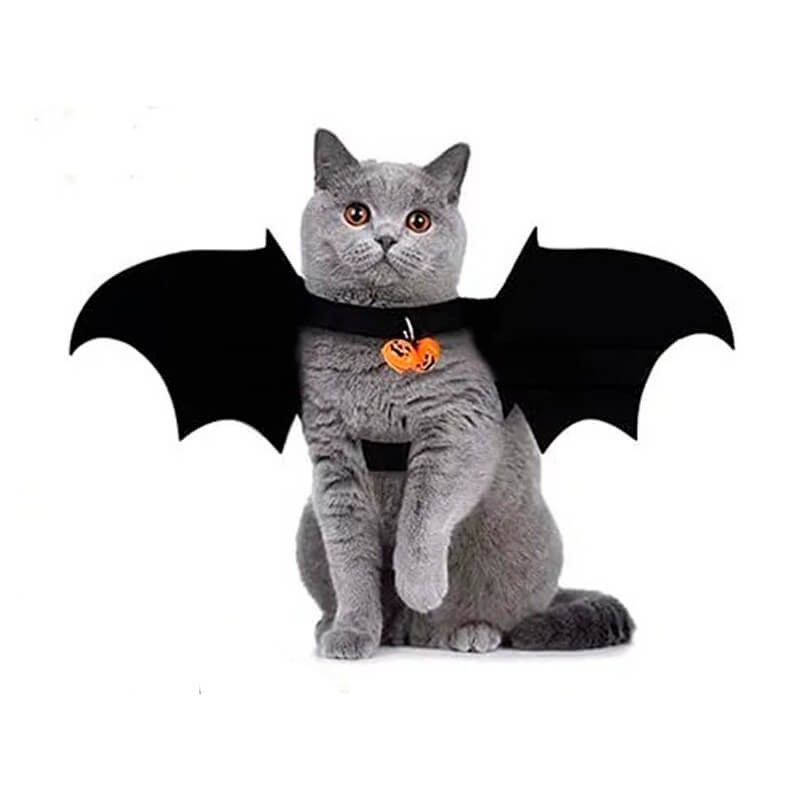 GENERICO - Alas de Murciélago para Gatos