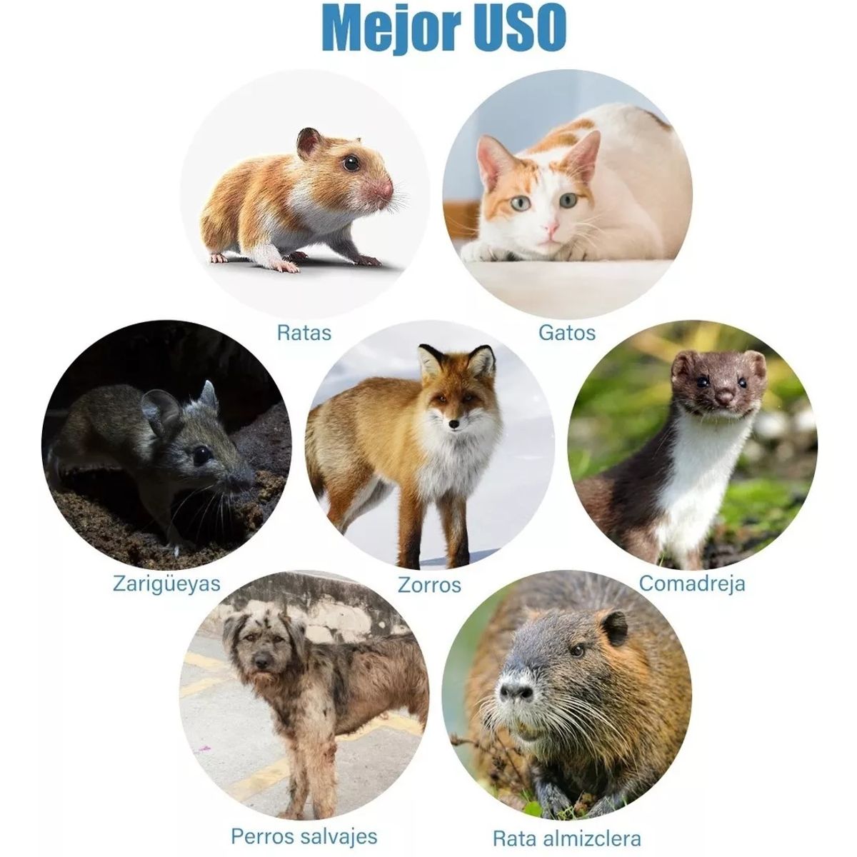 KUANGYE - Trampa Jaula Para Captura Gatos Conejos Animale 94x34x37cm