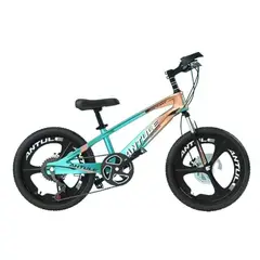 LUBABYCAS - Bicicleta Infantil 5-9 Años Aro 18 Verde