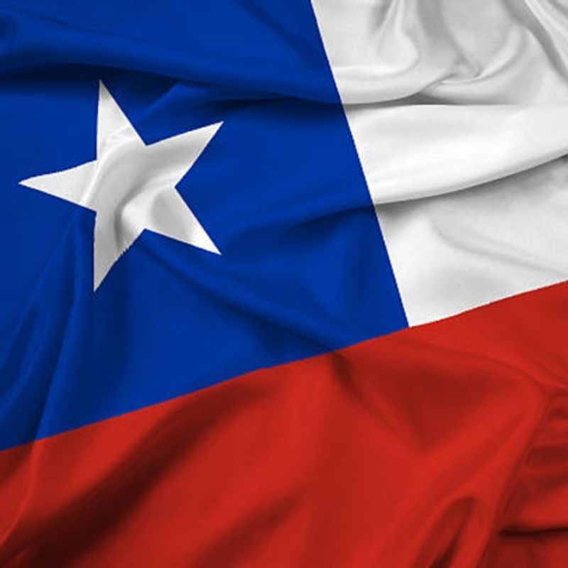 GENERICO - Bandera Chilena 35x55 Cm Tela Bordada Reforzada