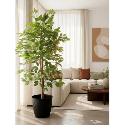 Imagen 2 del producto Planta Artificial Ficus Premium 160 cm./ 1008 Hojas