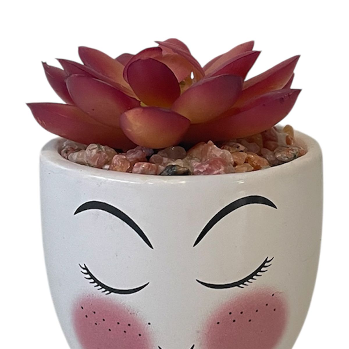 MALLORCA - Suculenta Decorativa Akiko Roja