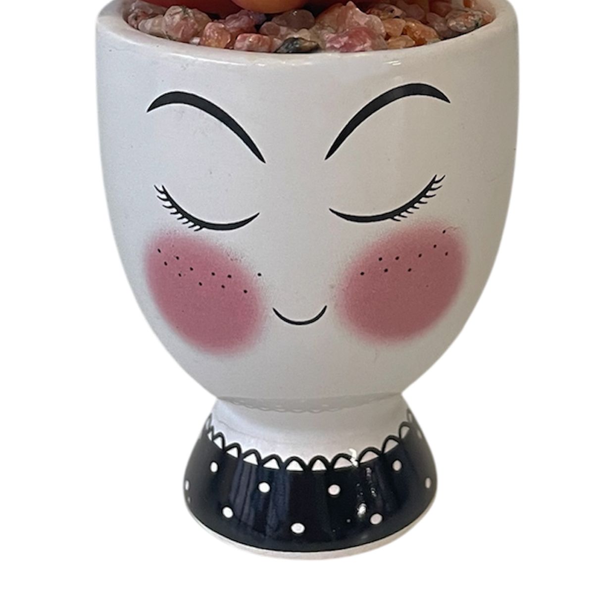 MALLORCA - Suculenta Decorativa Akiko Roja