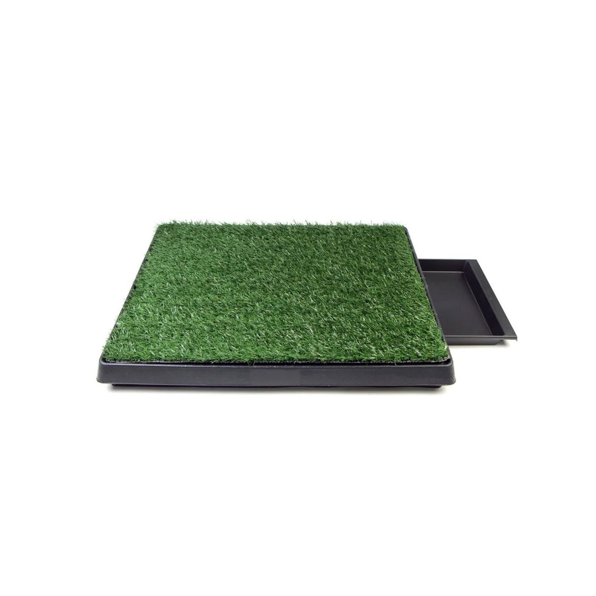 GENERICO - Baño Sanitario Ecológico Para Perros Y Gatos 63x51cm - SC