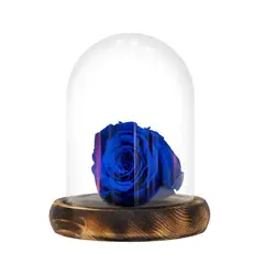 GENERICO - Rosa natural eterna azul, dura 5 años