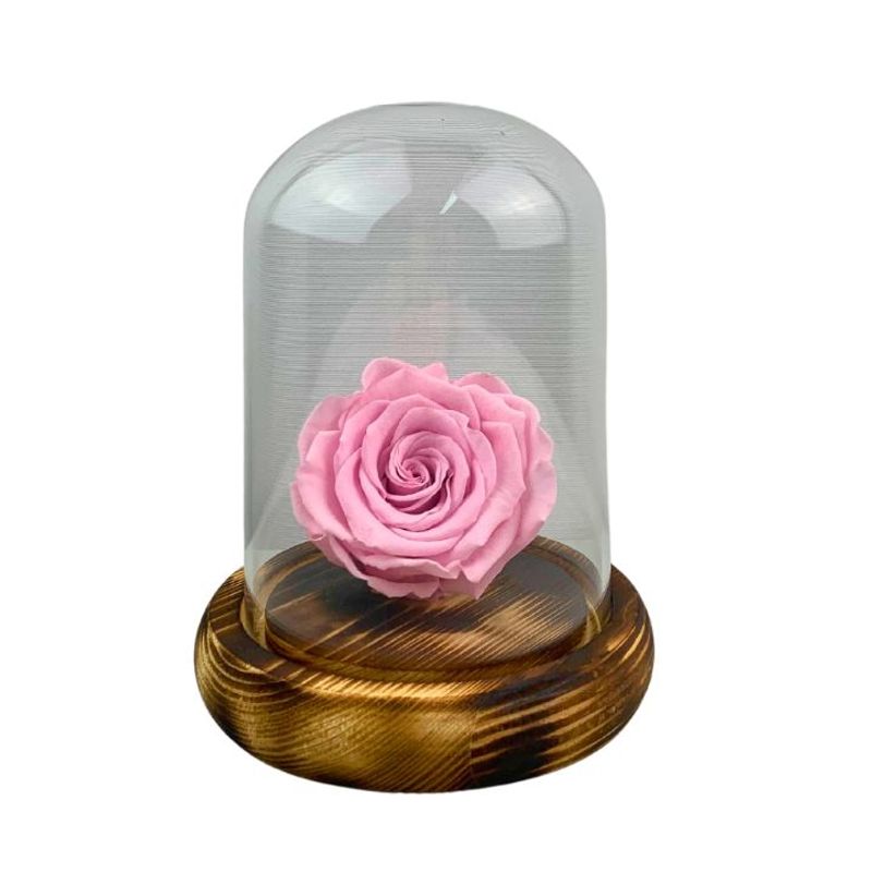 GENERICO - Rosa natural eterna rosada, dura 5 años