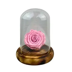 GENERICO - Rosa natural eterna rosada, dura 5 años