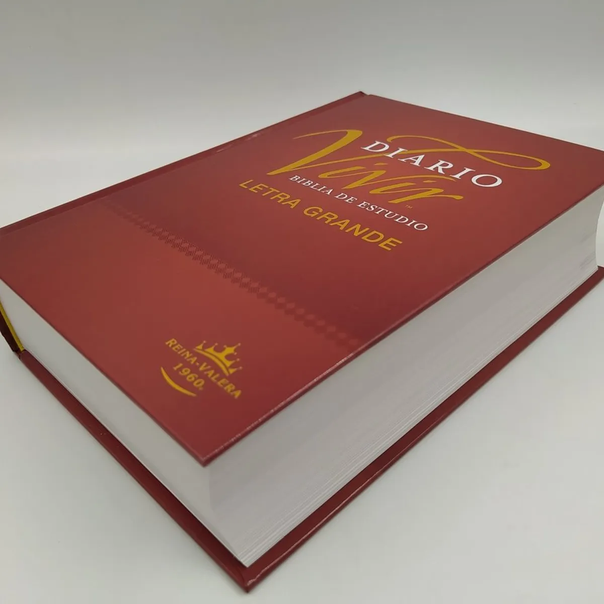 GENERICO - Biblia de Estudio Diario Vivir Reina Valera 1960 Letra Grande