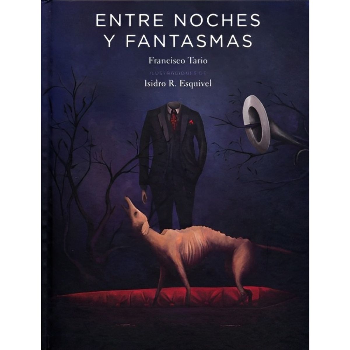 TOP10BOOKS - LIBRO Entre Noches Y Fantasmas - Francisco Tario